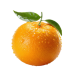 Home adobe express file (2)