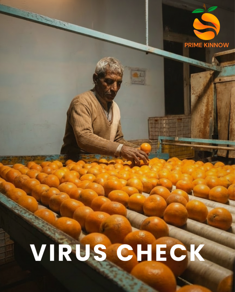 Home field sorting (1)