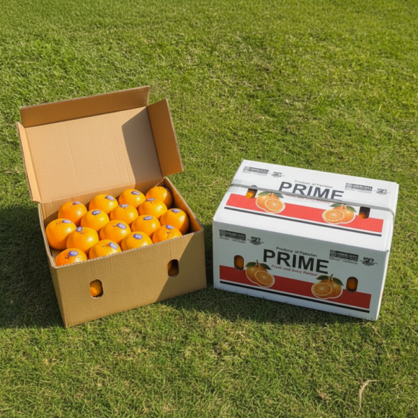 Home premium sargodha kinnow – 10kg export quality carton