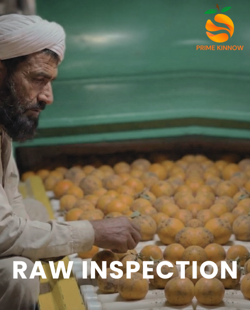 Home pre wash inspection