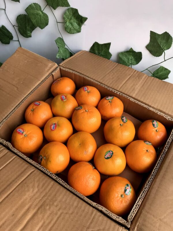 Home export quality 10kg kinnow box