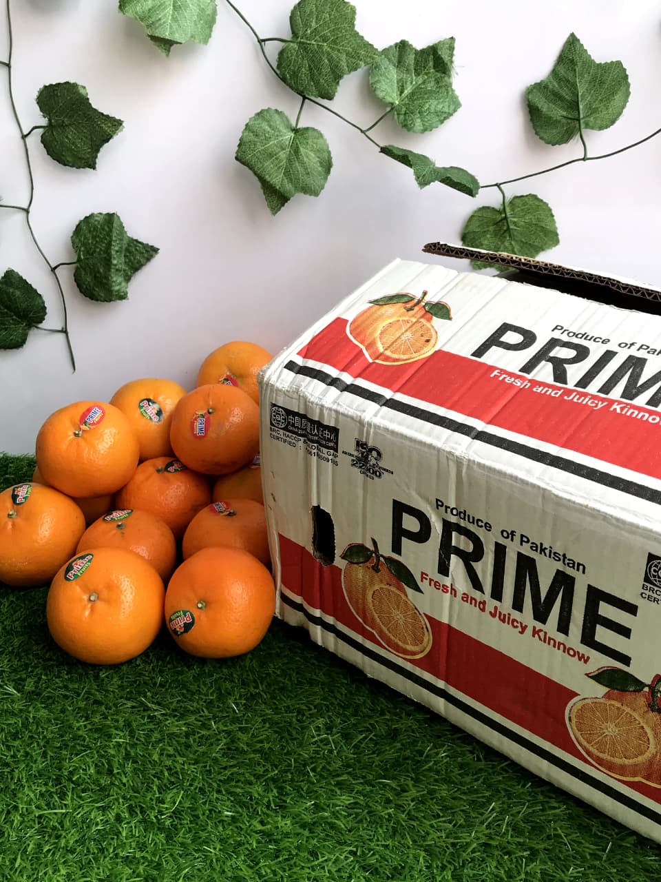 export quality 10kg kinnow box